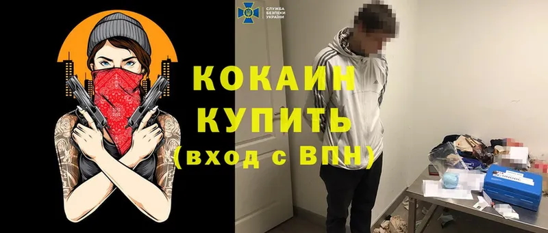 дарнет шоп  мега вход  Cocaine Колумбийский  Зеленоградск 