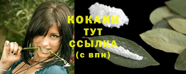 дживик Мегион