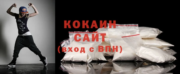 прущие грибы Медногорск