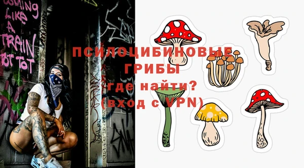 шишки Михайловка