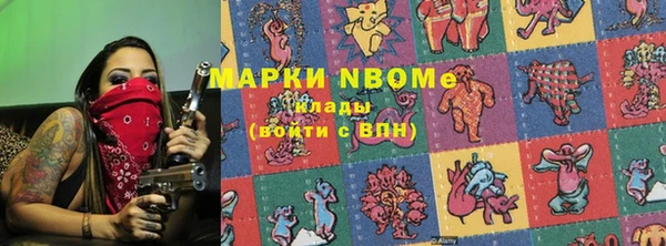 прущие грибы Медногорск