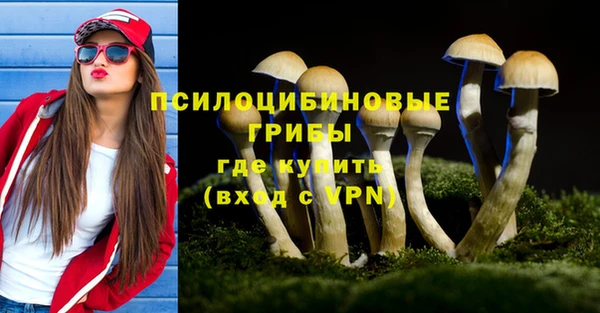 шишки Михайловка