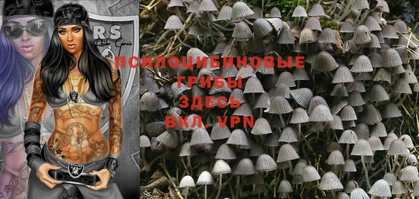 шишки Михайловка