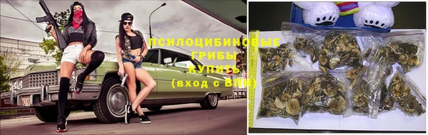 бутират Михайлов